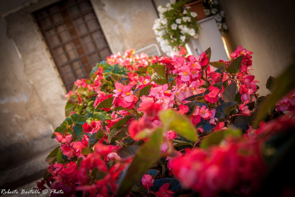 Torre Della Botonta Bed & Breakfast Castel Ritaldi Exterior photo